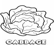 Printable vegetable cabbage coloring pages