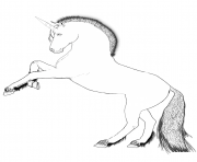 Printable horse with a single straight horn coloring pages