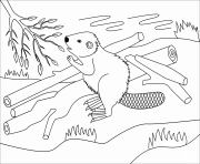 Printable beaver animal simple coloring pages