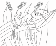 Printable ant animal simple coloring pages