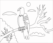 Printable bald eagle animal simple coloring pages
