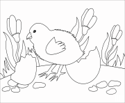 Printable chick animal simple coloring pages