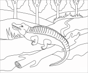 Printable aligator animal simple coloring pages