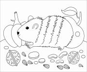 Printable guinea pig animal simple coloring pages
