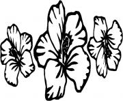 Printable hibiscus flower coloring pages