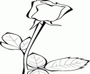 Printable rose flowers real coloring pages