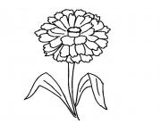 Printable zinnia flower coloring pages