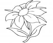 Printable beautiful flowers coloring pages
