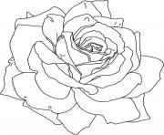 Printable rose flower cute coloring pages