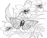 Printable butterfly flower coloring pages