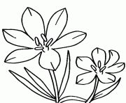 Download Flower Coloring Pages Free Printable