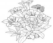 Printable realistic flowers coloring pages