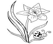 Printable butterfly and daffodil flower coloring pages