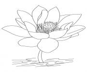 Printable lotus flower simple coloring pages
