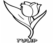 Printable tulip flower printable coloring pages