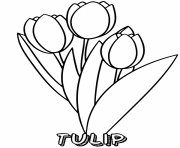 Printable tulips flower printable coloring pages