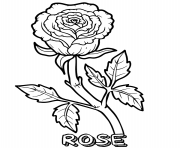 Printable rose flower coloring pages