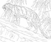 Printable clouded leopard standing on tree coloring pages