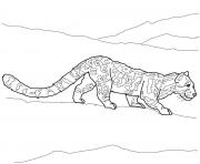 Printable clouded leopard coloring pages