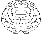 Printable brain up side coloring pages