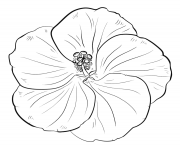 Printable hibiscus flower coloring pages