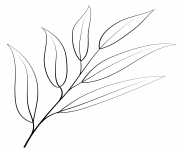 willow oak leaf outline