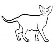 Printable oriental shorthair cat coloring pages