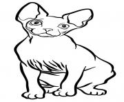 Printable sphynx cat coloring pages