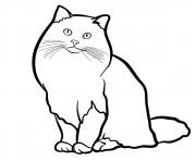 Printable ragdoll cat coloring pages