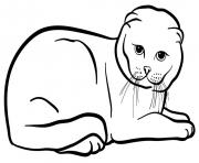 Printable scottish fold cat coloring pages