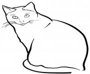 Printable siamese cat coloring pages