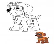 Printable Zuma Chocolate Labrador retriever puppy coloring pages