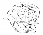 Printable fall cute cartoon hedgehog sleeping under leaves coloring pages
