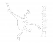 Printable dinosaur compsognathus tracing picture coloring pages