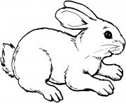 Printable cute rabbit coloring pages