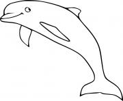 Soaring Dolphin