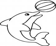 Dolphin Playing Ball