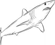 Swimming Shortfin Mako Shark