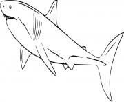 Easy White Shark