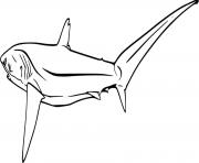 Pelagic Thresher Shark