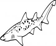 Simple Sand Tiger Shark