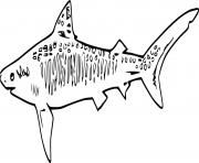 Shark Coloring Pages Printable