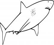 Very Easy Great White Shark