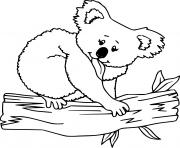 Printable Koala on the Log coloring pages