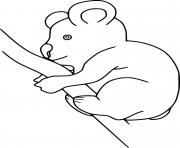 Printable Very Easy Koala coloring pages