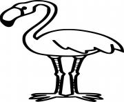 Printable Easy Beautiful Flamingo coloring pages