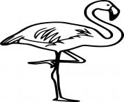 Printable Chilean Flamingo coloring pages