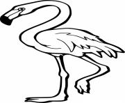Printable Greater Flamingo coloring pages