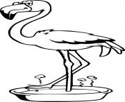 Printable Flamingo Standing in the Basin coloring pages