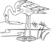 Printable Realistic Flamingo Finding Food coloring pages